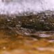 The Importance of Water Testing After Heavy Rain or Flooding